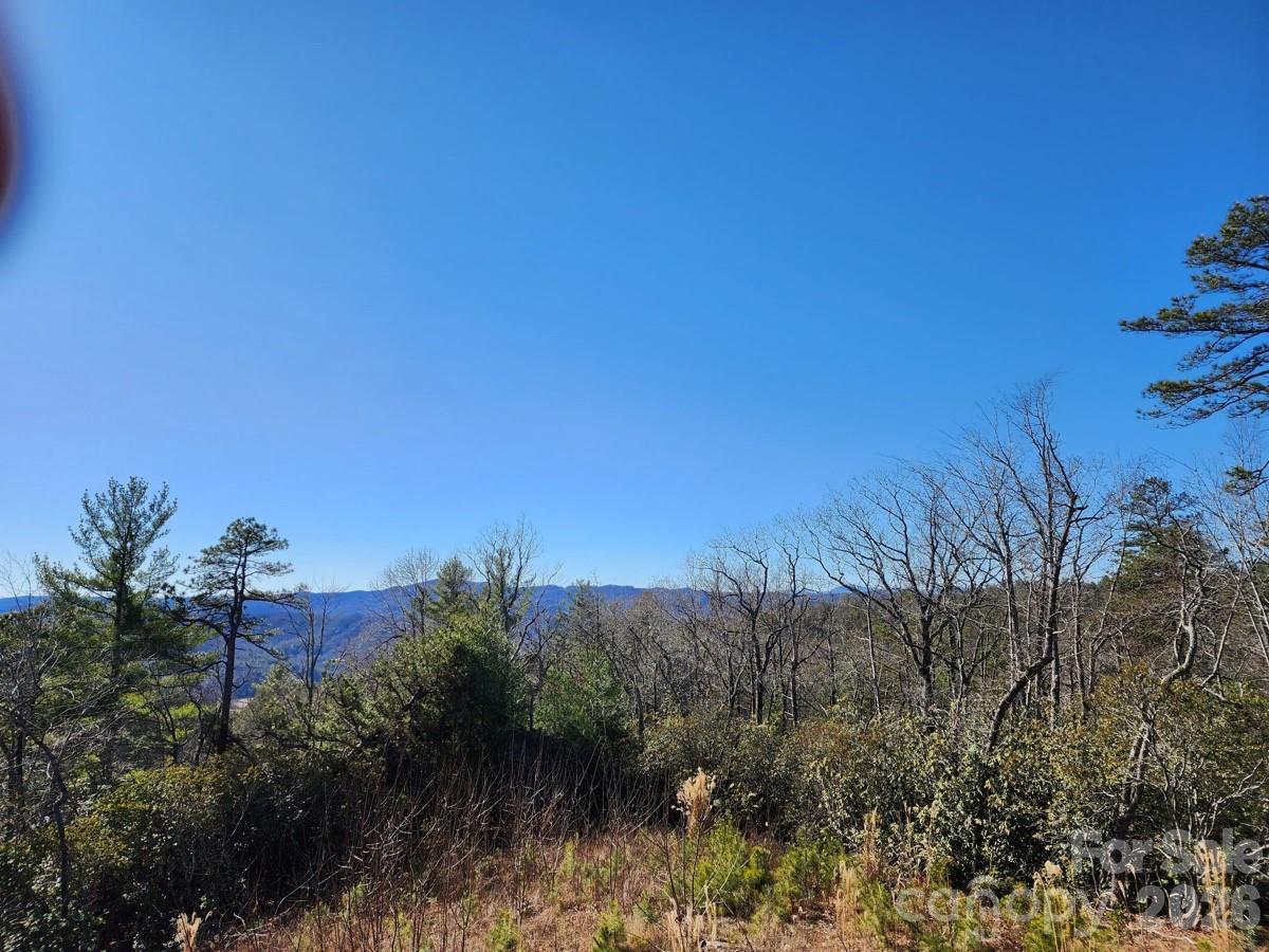 9999 Bulling Creek Road