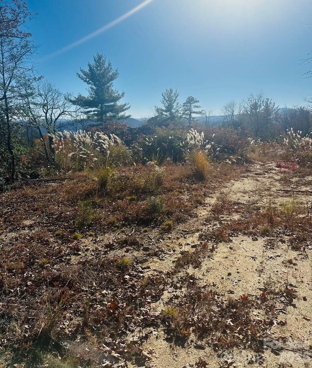 9999 Bulling Creek Road