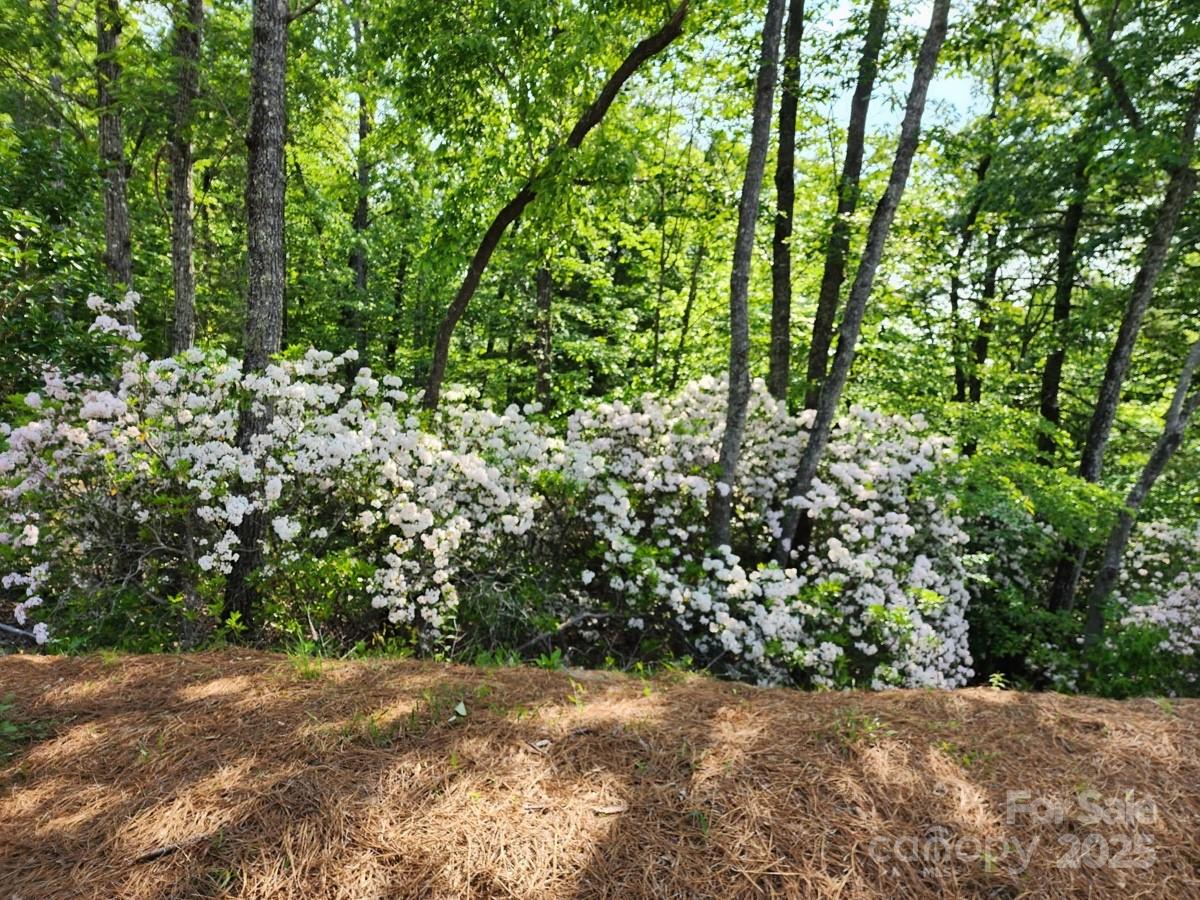 9999 Bulling Creek Road