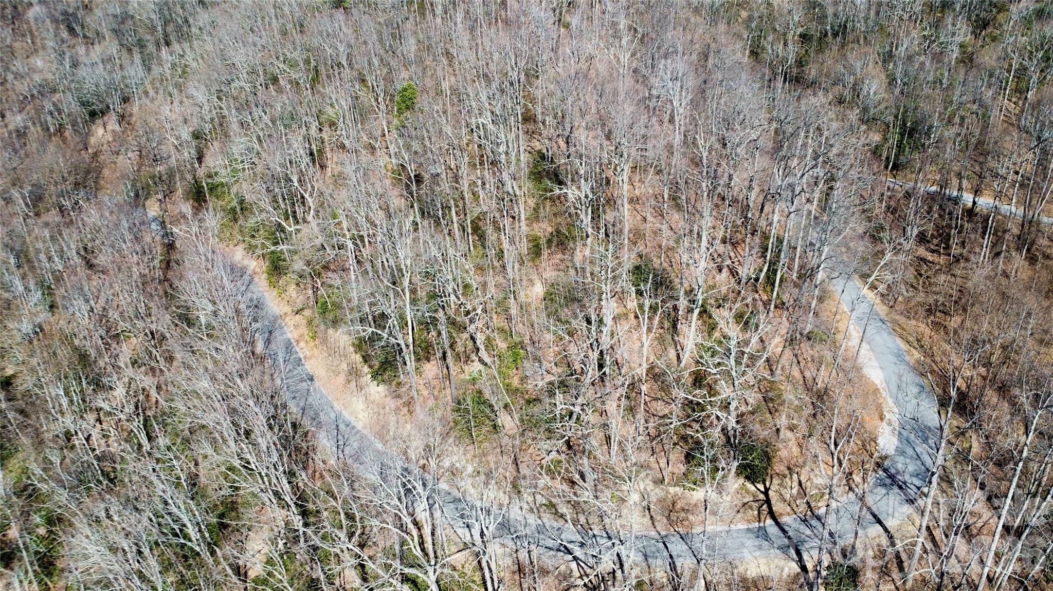 Aerial view of a winding paved road through a mostly leafless wooded property.