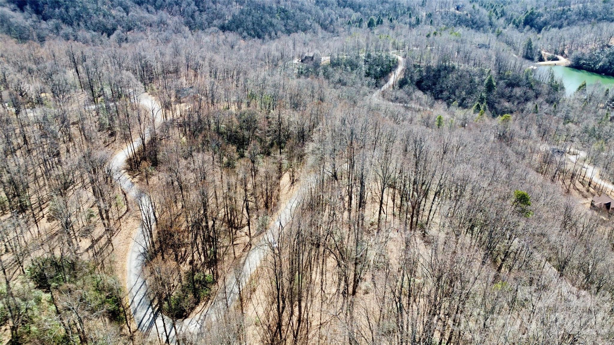 Aerial view of wooded land with winding roads and a green pond.