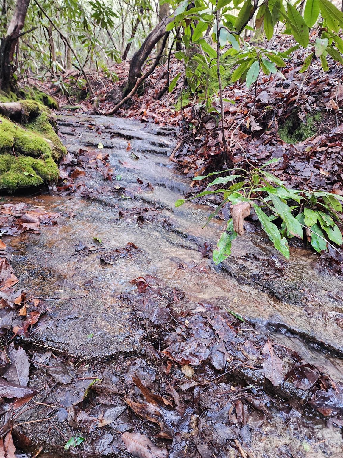 000 Bulling Creek Road