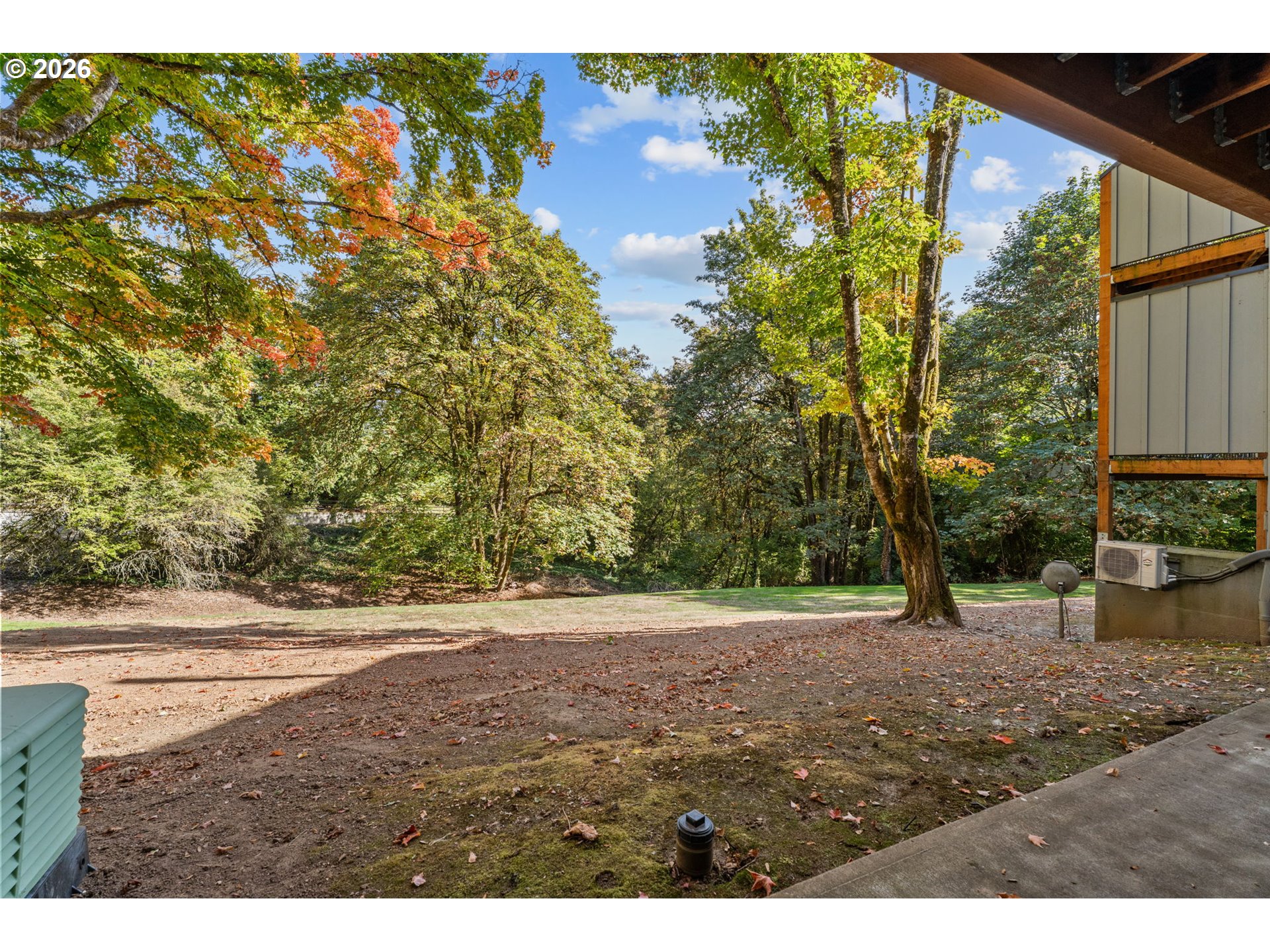 Wooded backyard with a leaf-strewn lawn and mature trees in autumn.