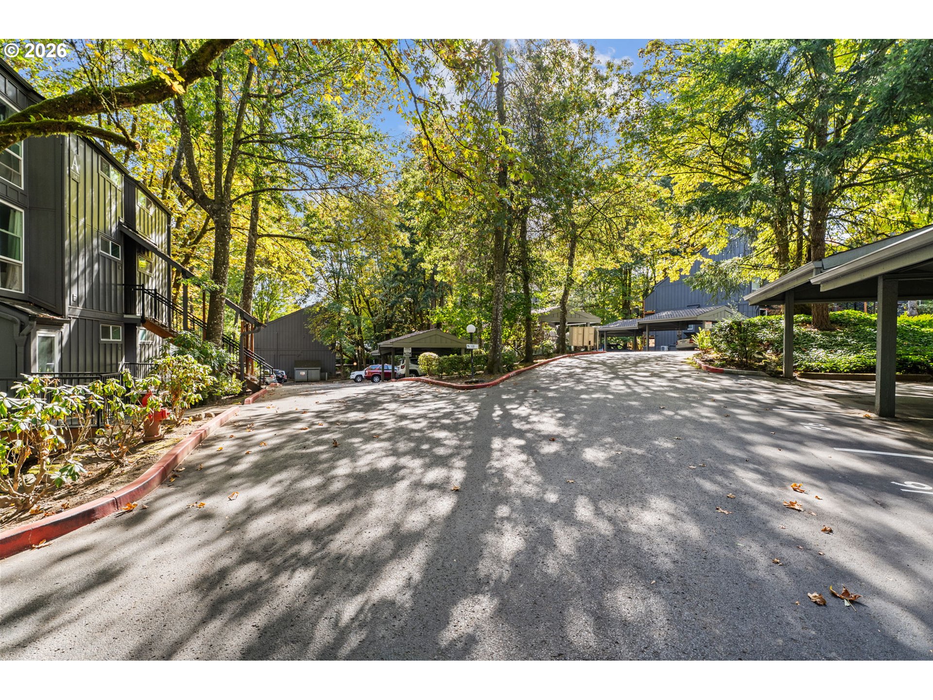 Wooded residential complex with covered parking and a sunlit driveway beneath autumn trees.
