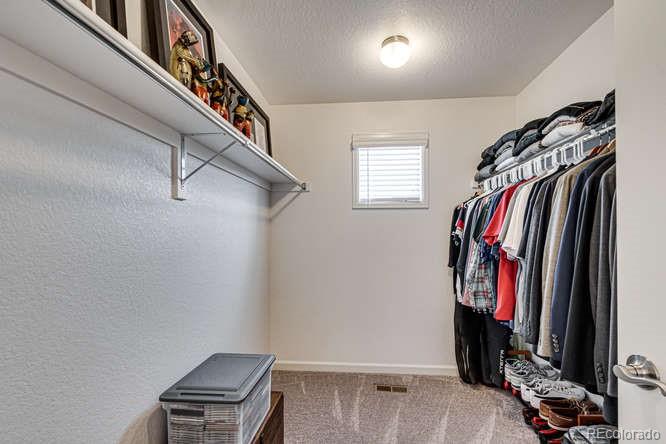 1566 Castle Creek Circle