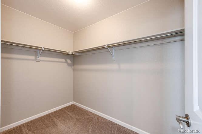 1556 Castle Creek Circle