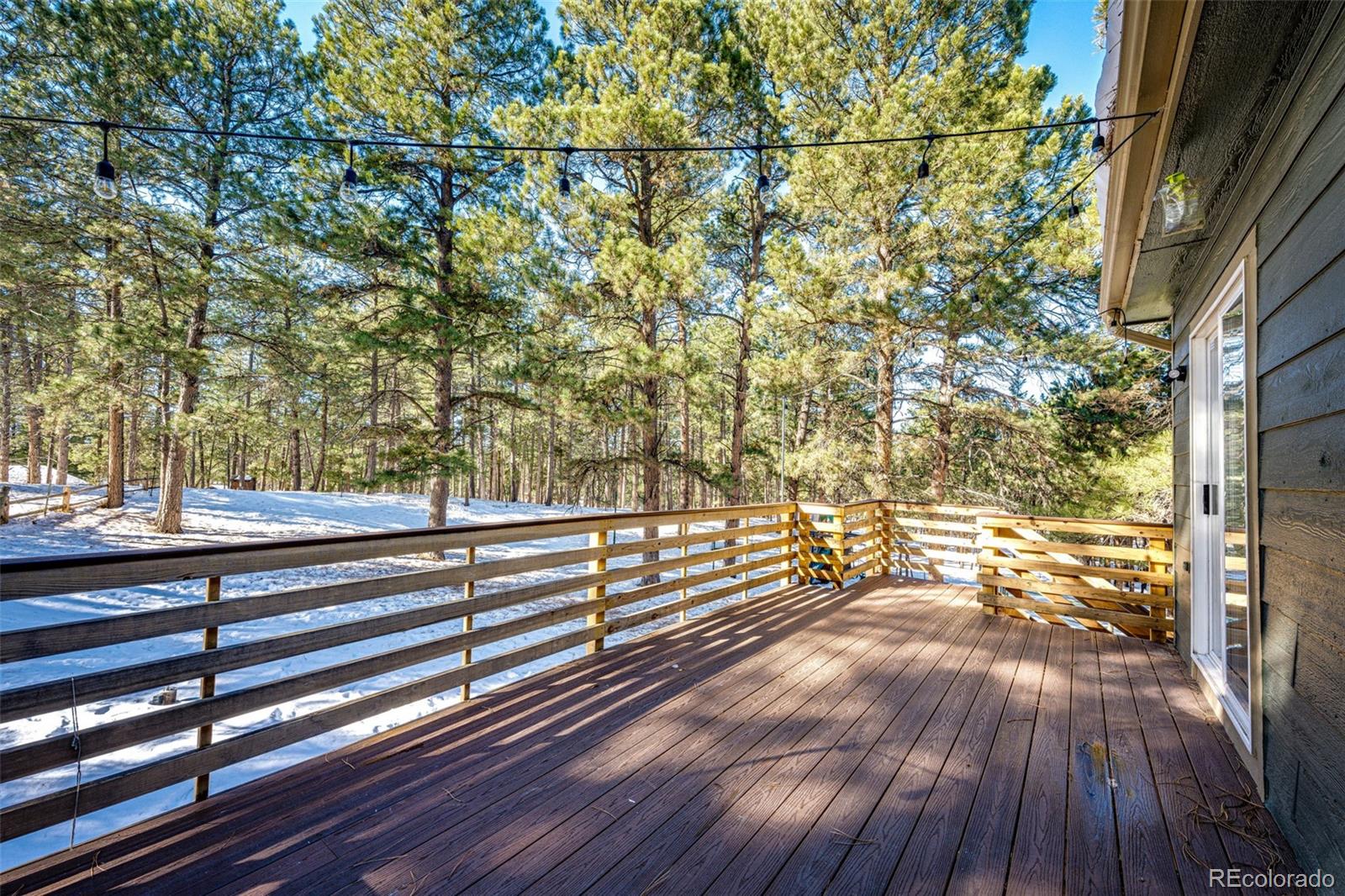 34103 Forest Park Drive