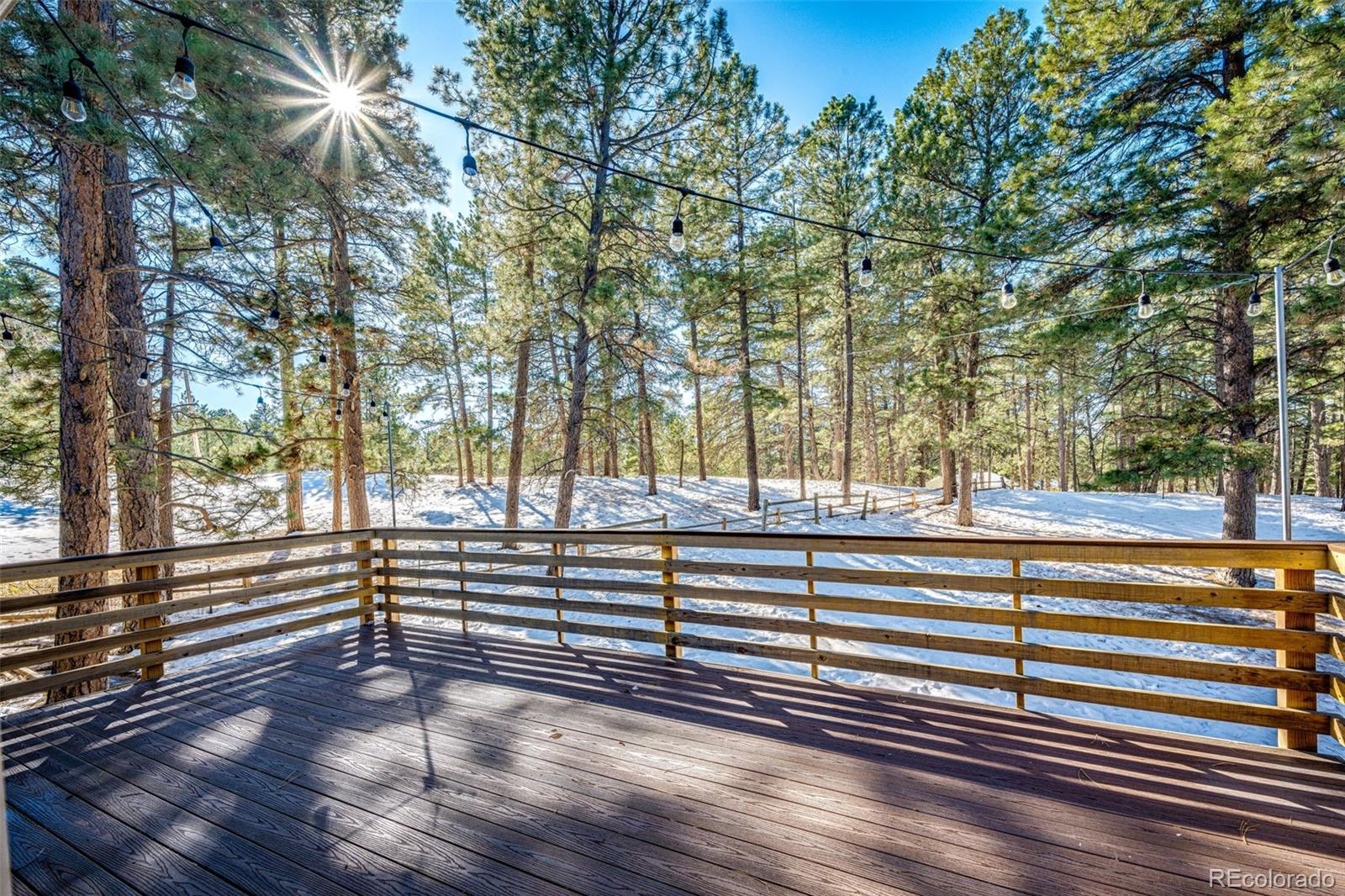 34103 Forest Park Drive