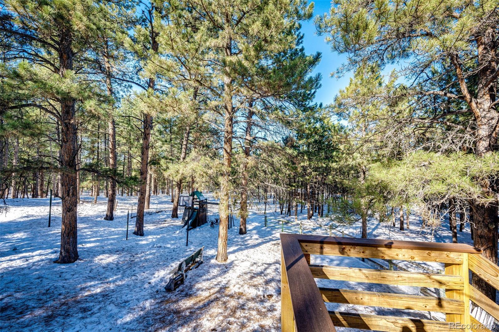 34103 Forest Park Drive