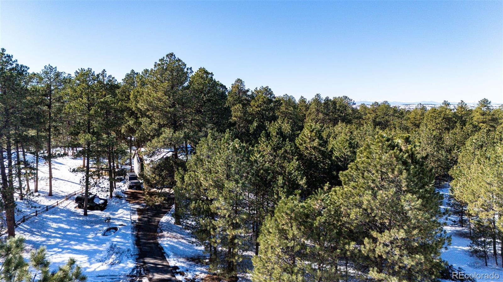 34103 Forest Park Drive