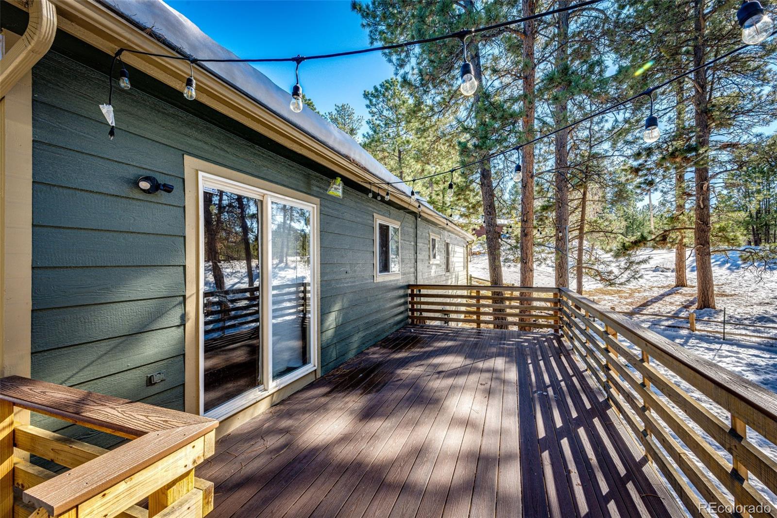 34103 Forest Park Drive