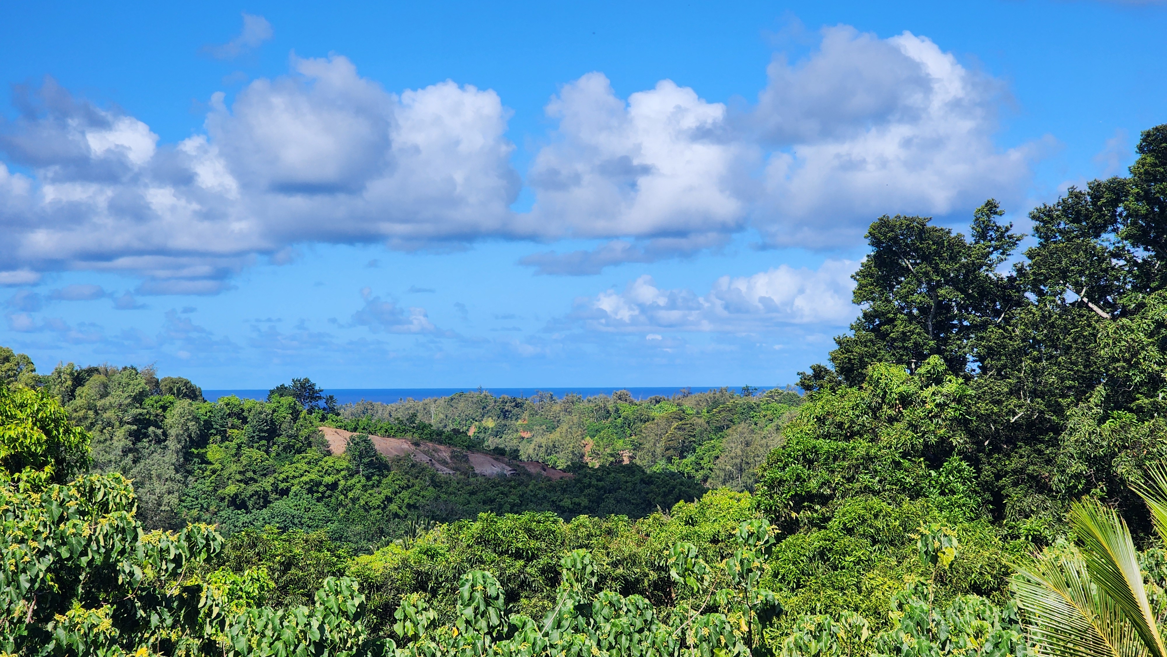 3-3400 KUHIO HWY C303