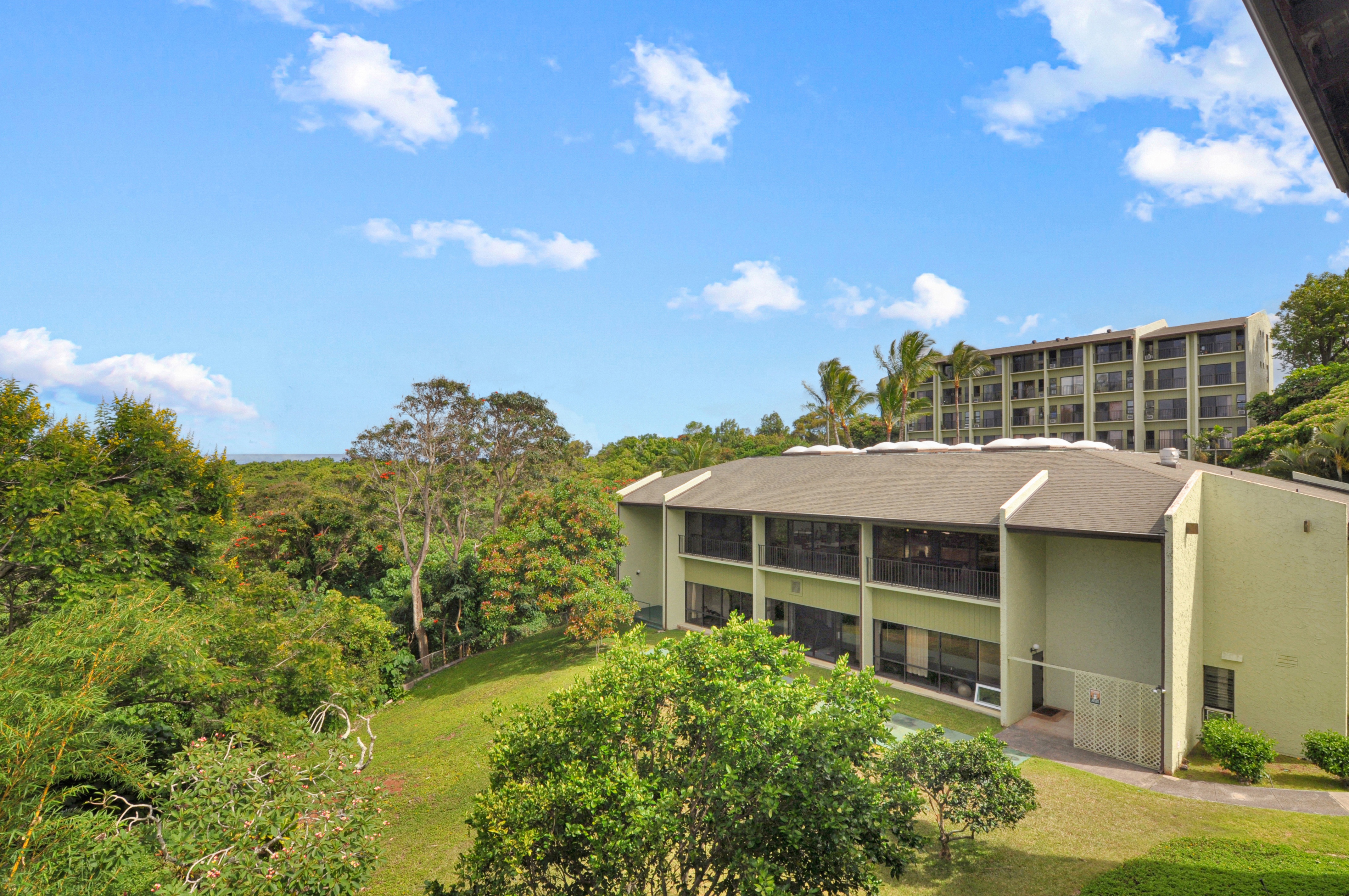 3-3400 KUHIO HWY C303