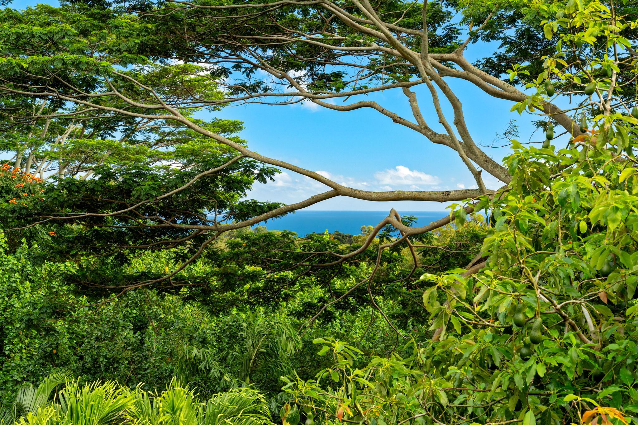 2775 OHANA AINA PL