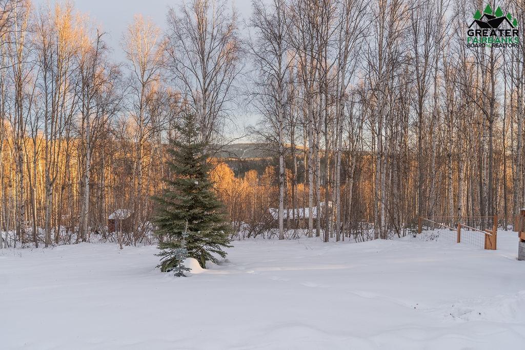 1254 SKYLINE DRIVE