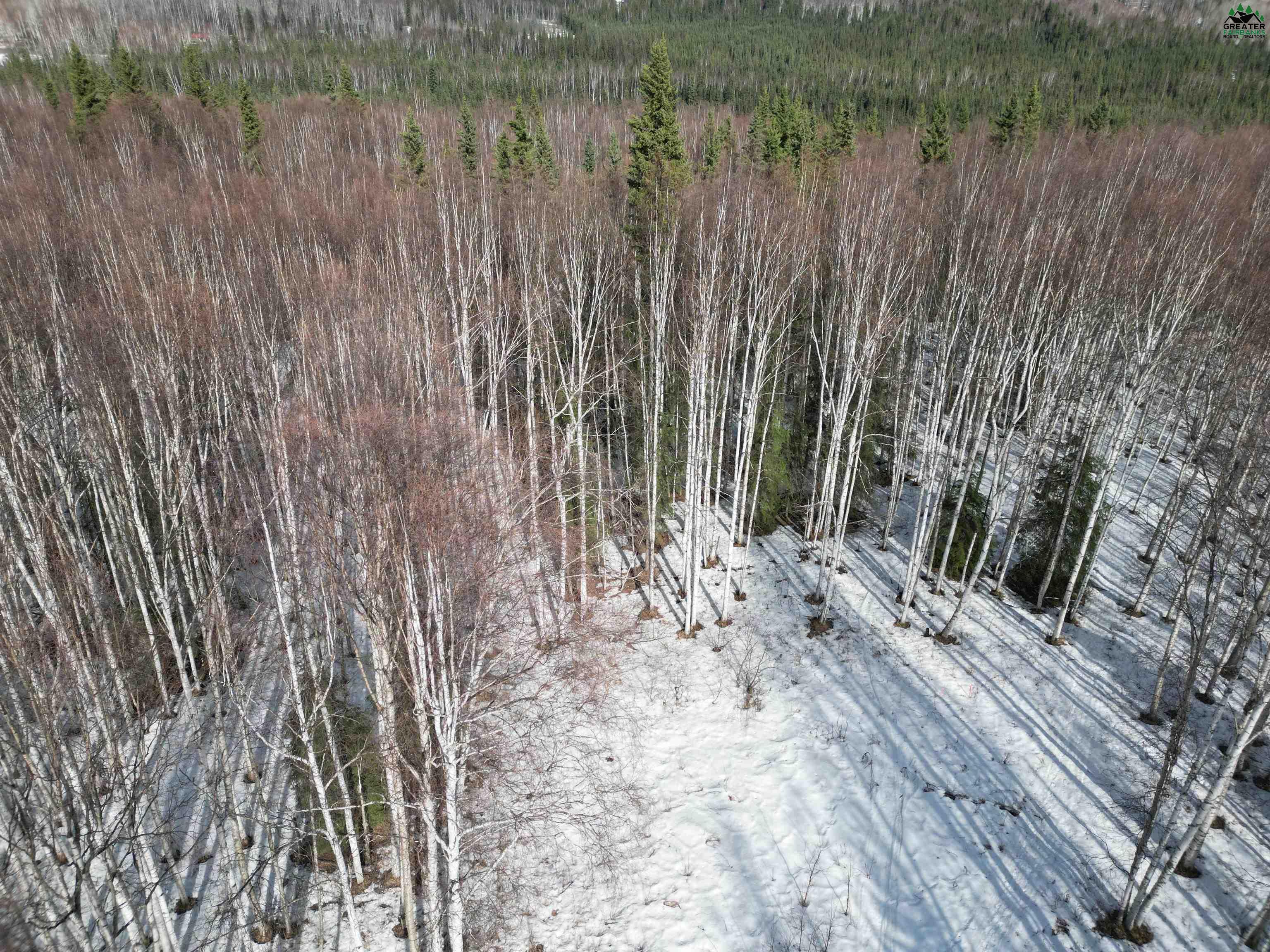 Tract C BIRCH KNOLL ROAD