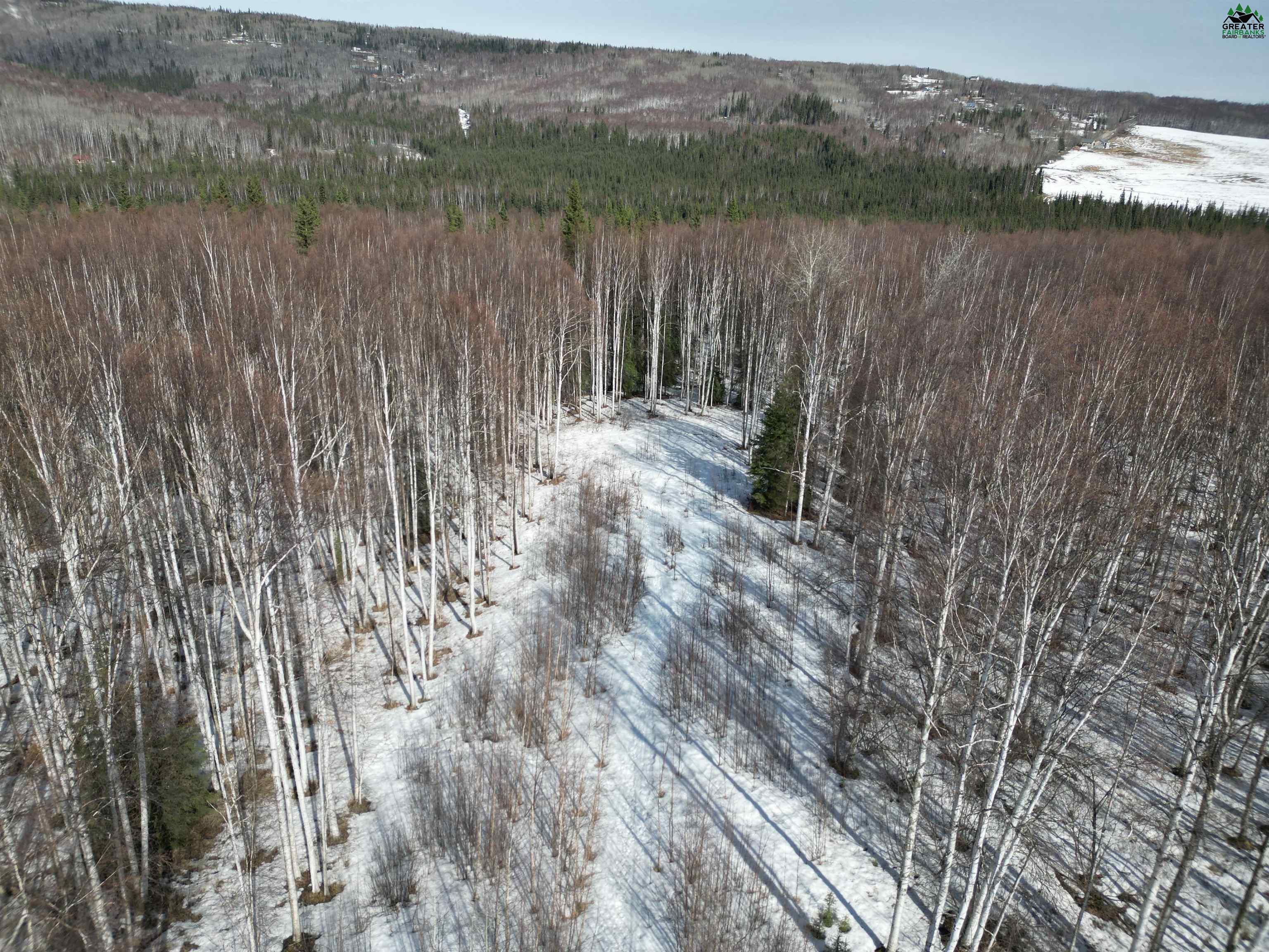 Tract C BIRCH KNOLL ROAD