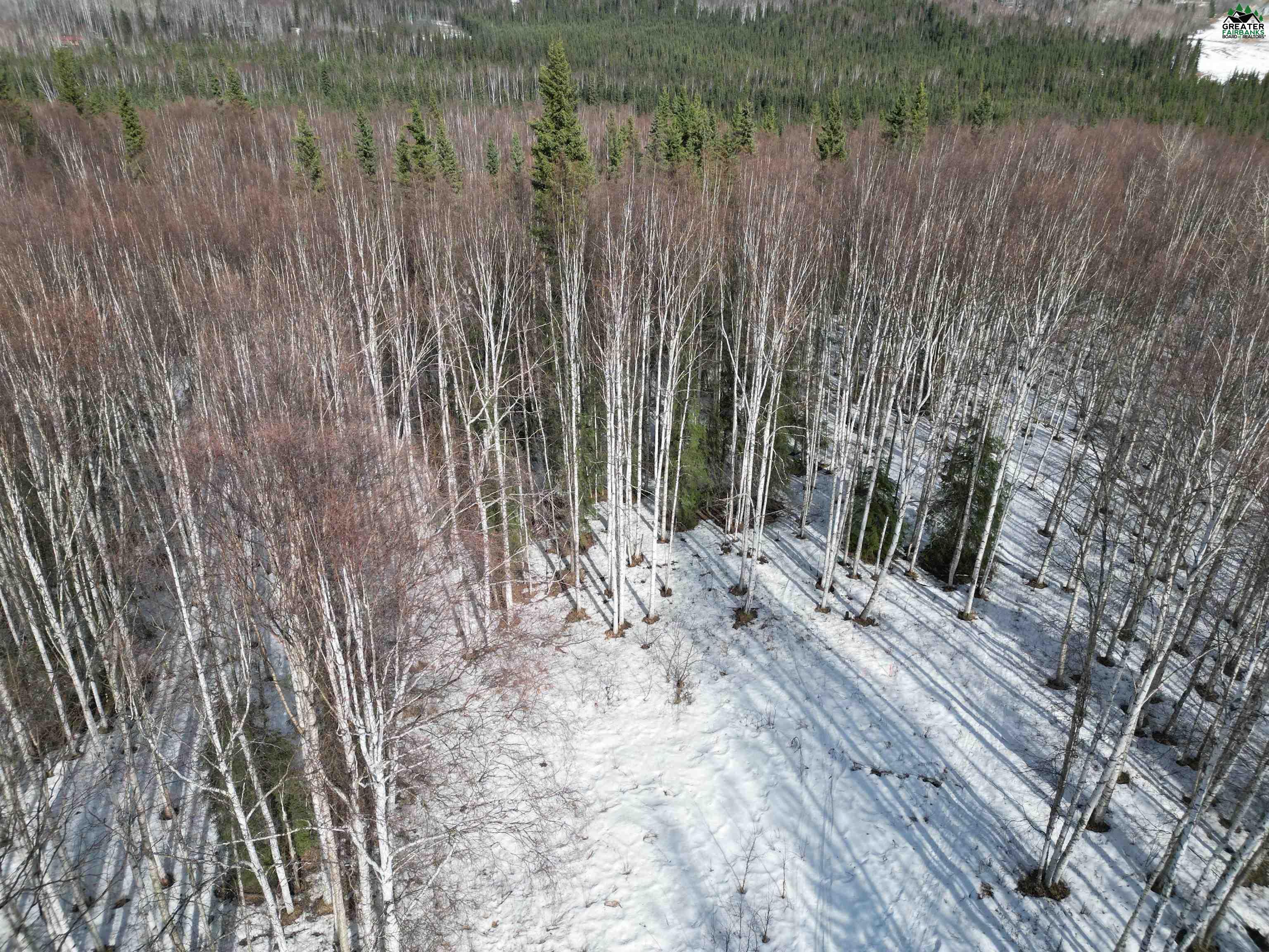 Tract C BIRCH KNOLL ROAD