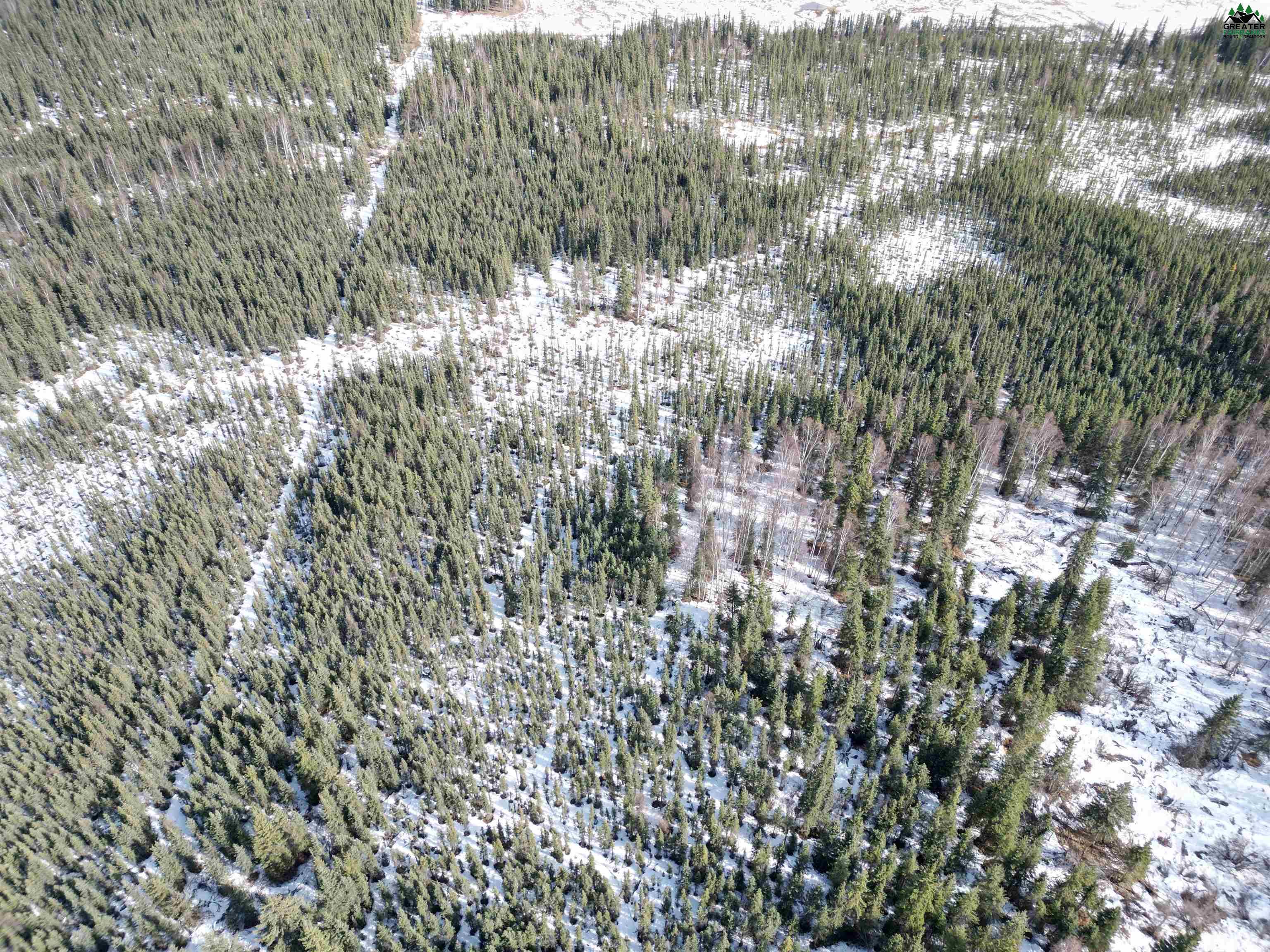 Tract C BIRCH KNOLL ROAD
