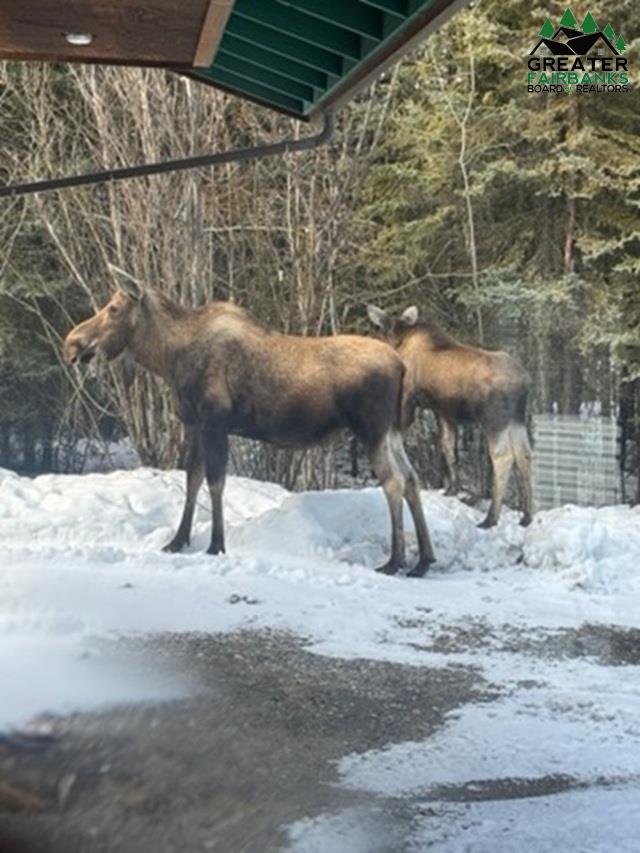 2578 KALISPELL LOOP