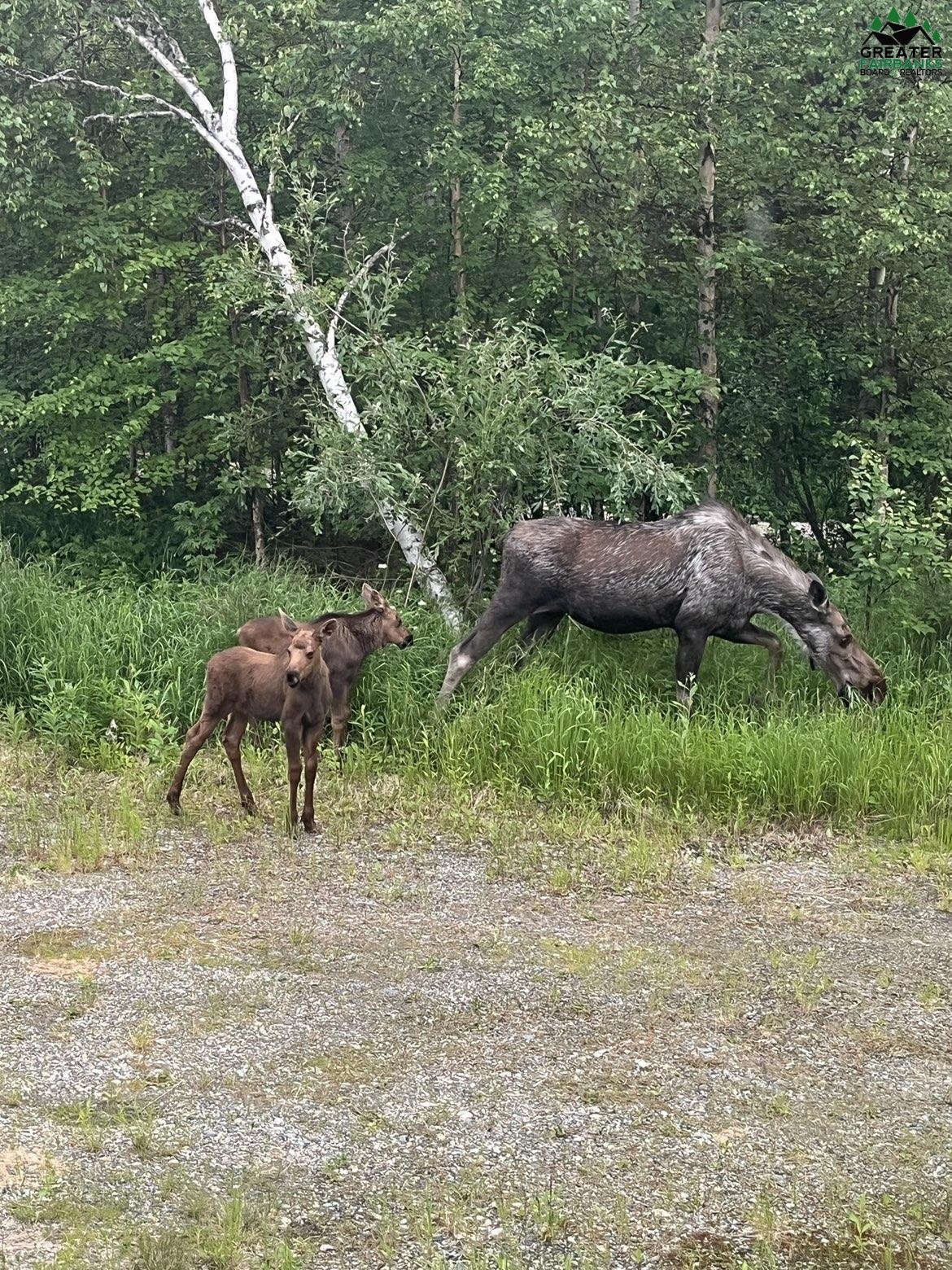 682 TANGLEWOOD DRIVE