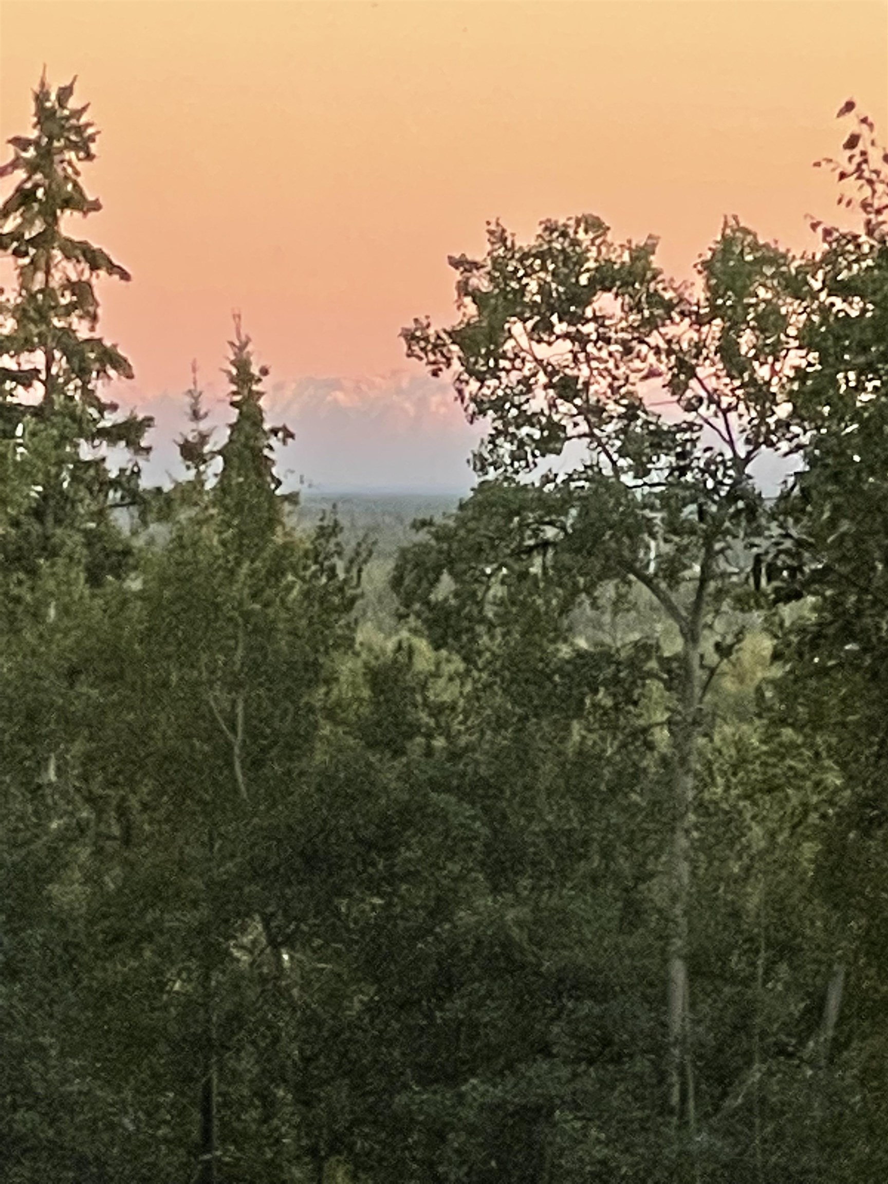 883 RIDGE LOOP ROAD