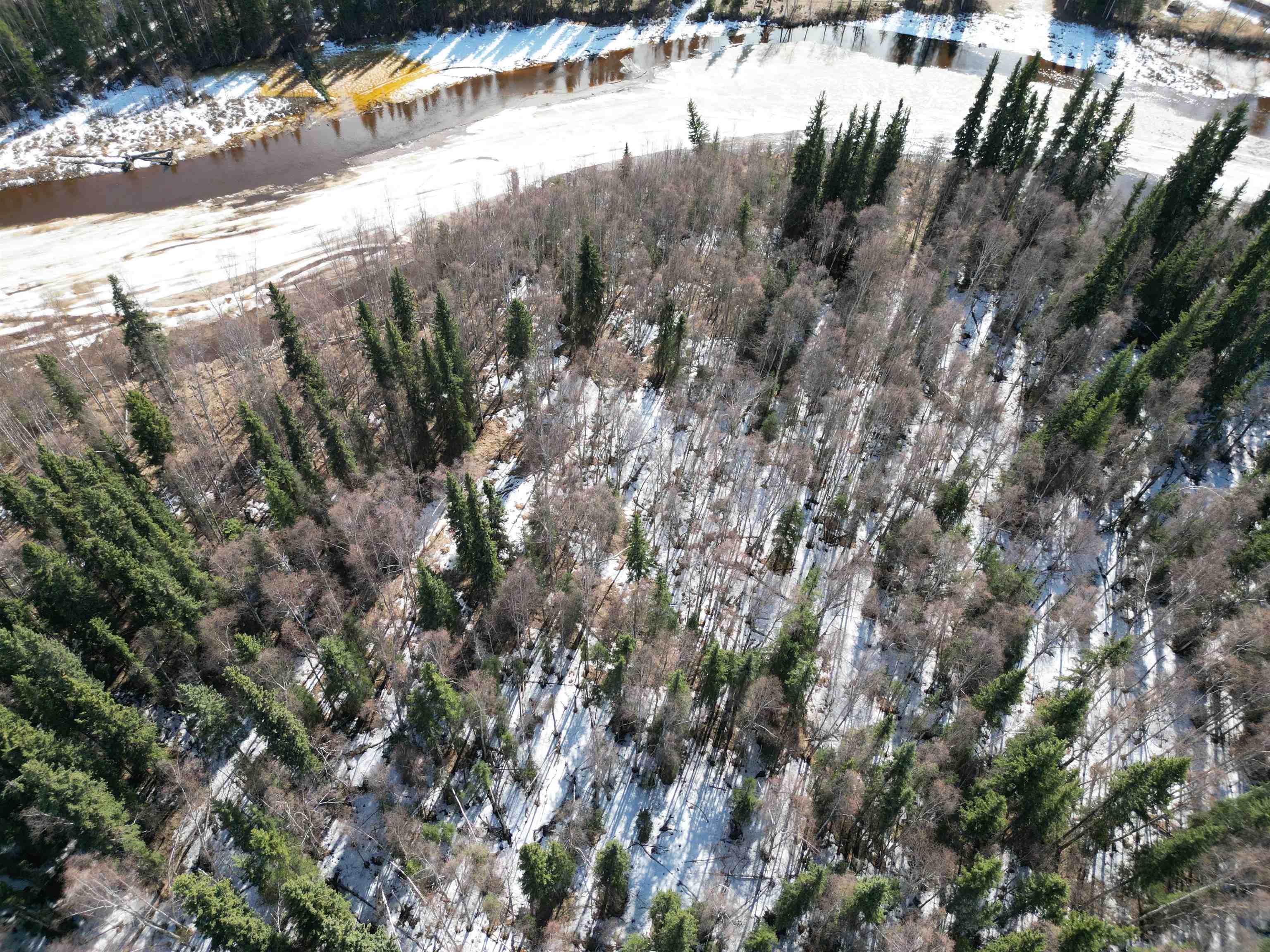 Nhn CHENA RIVER