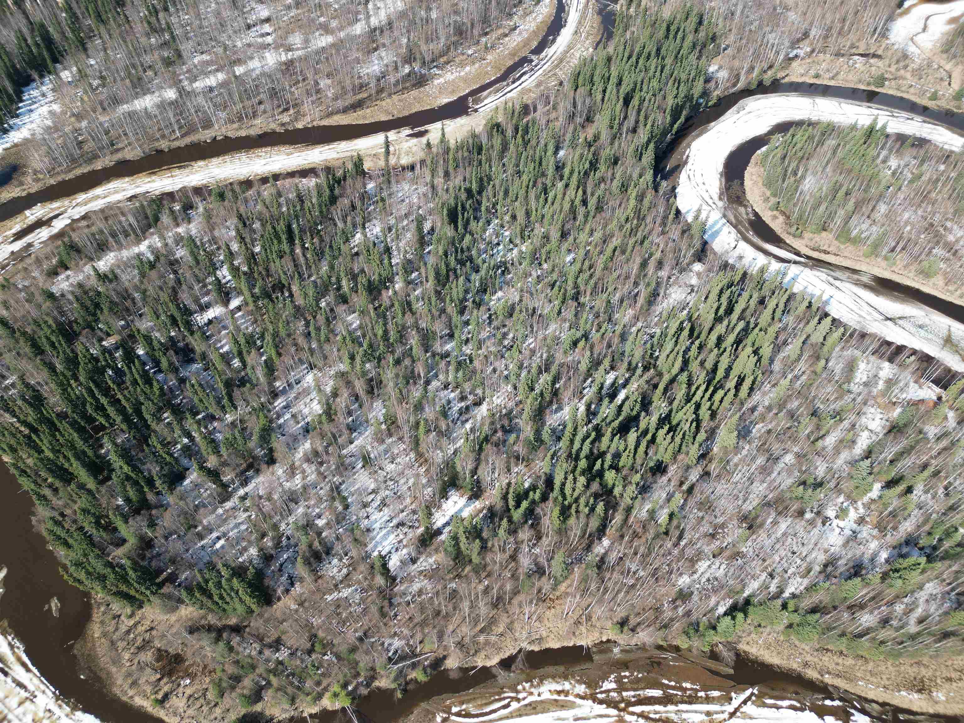 Nhn CHENA RIVER