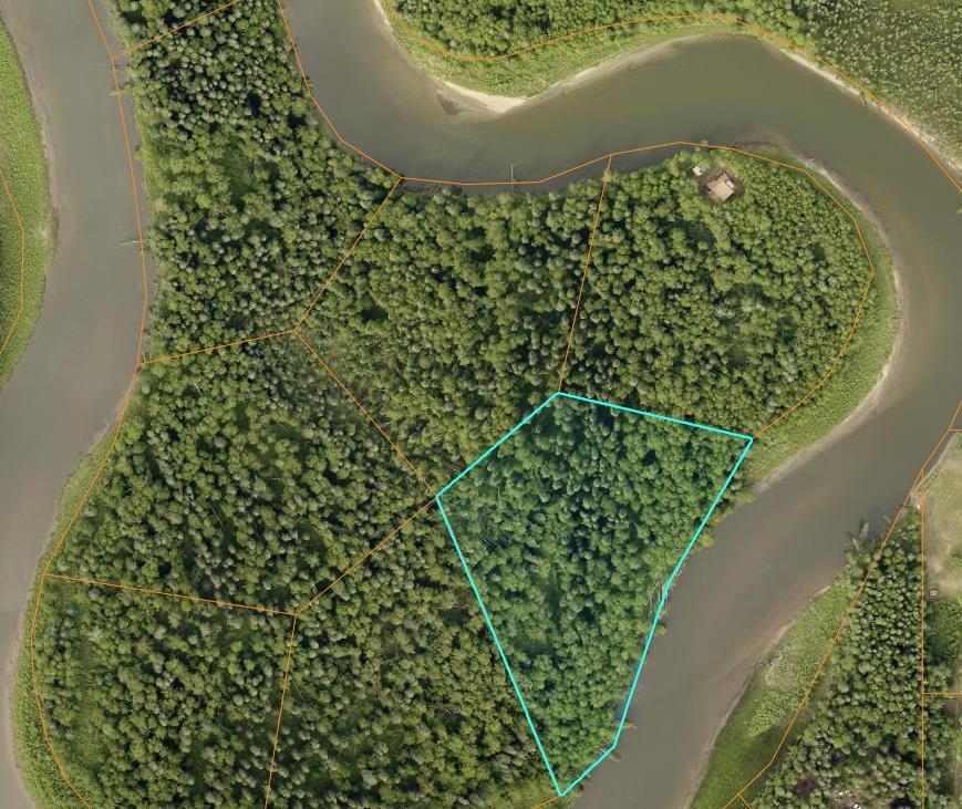 Nhn CHENA RIVER