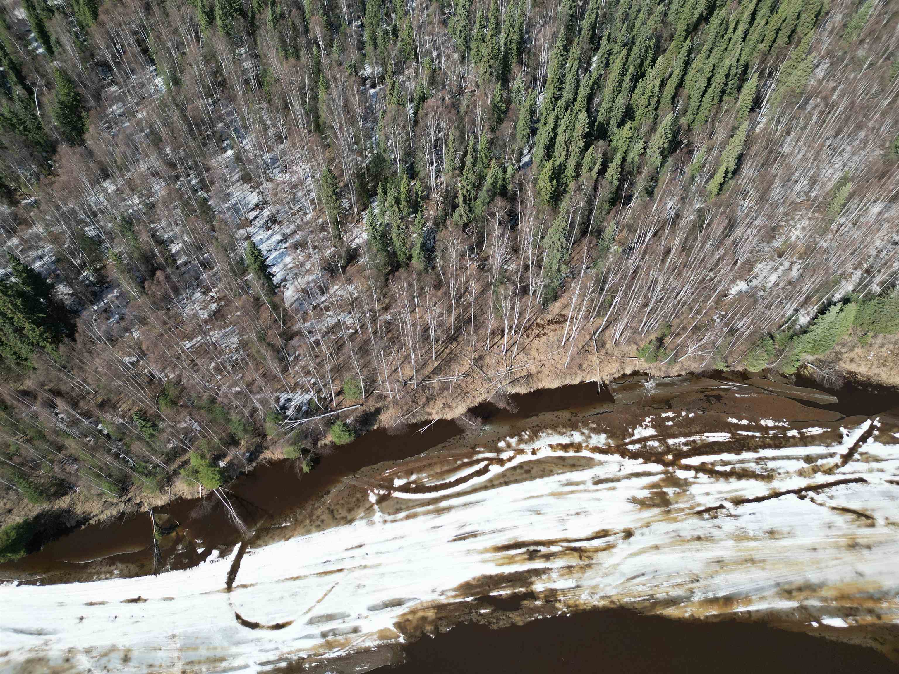 Nhn CHENA RIVER