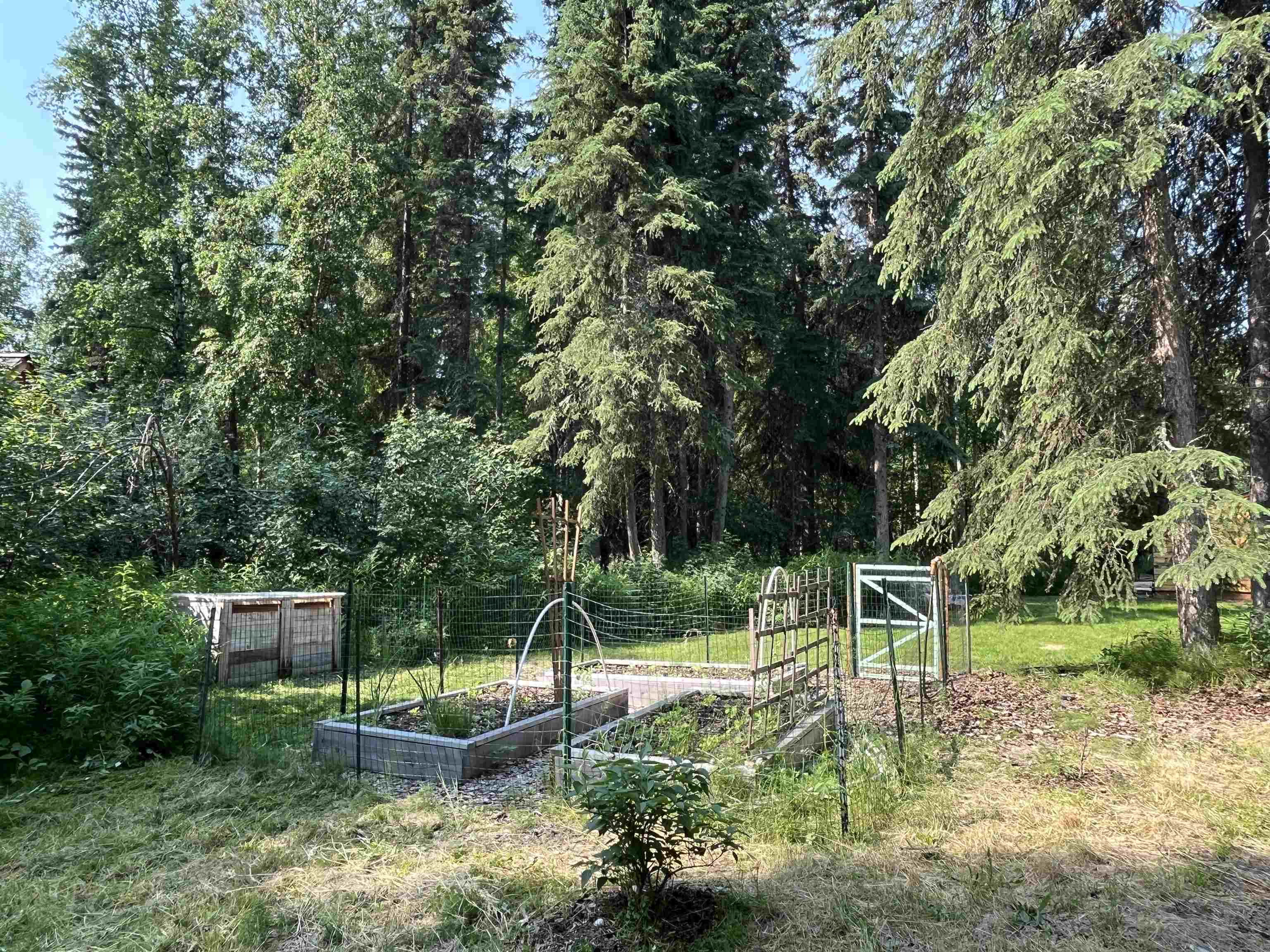 1155 CHICKADEE LOOP