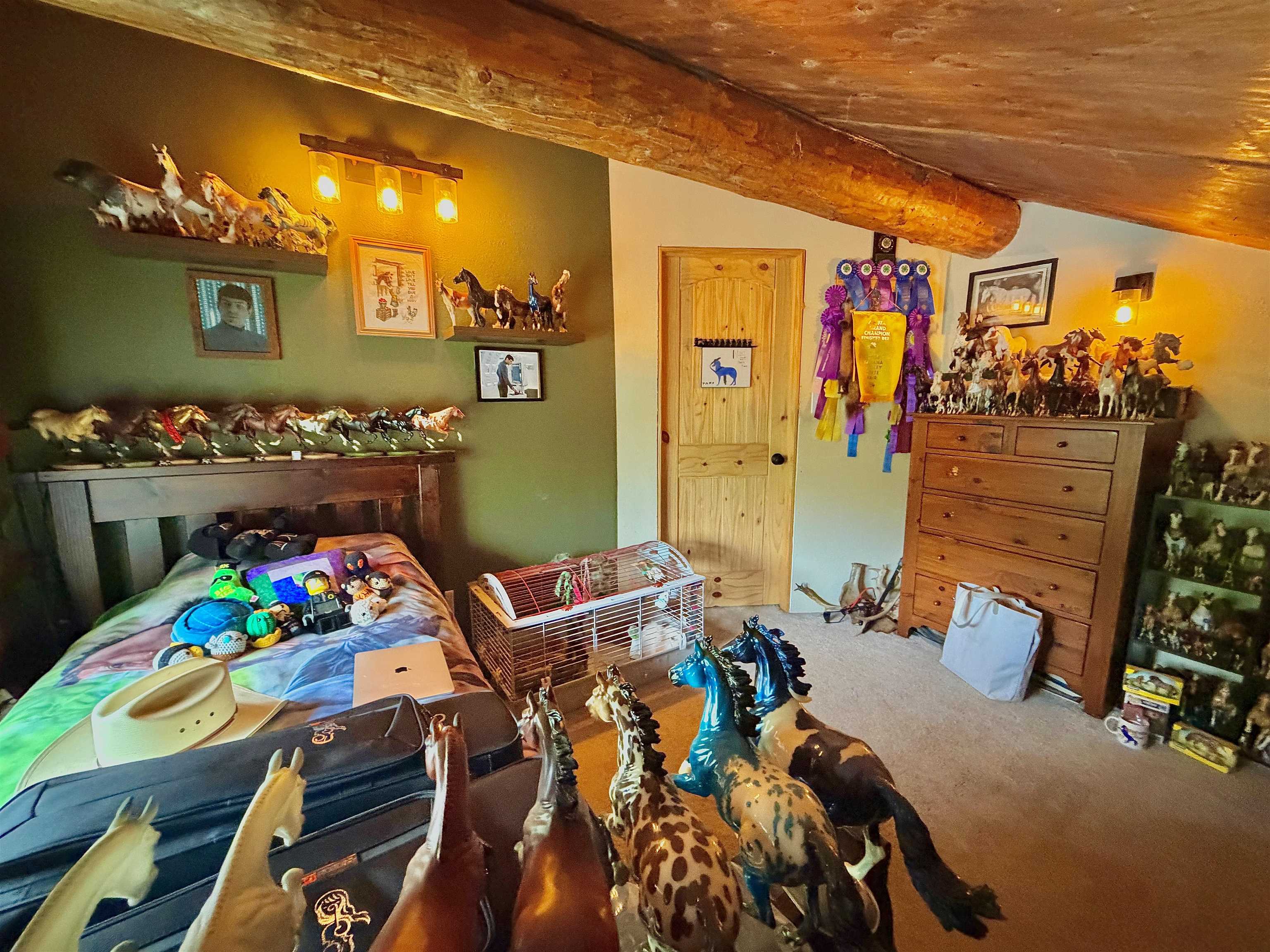 1050 GOLD MINE TRAIL