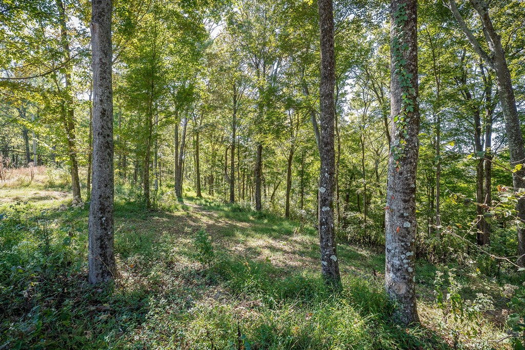 00 Back Ranch Dr