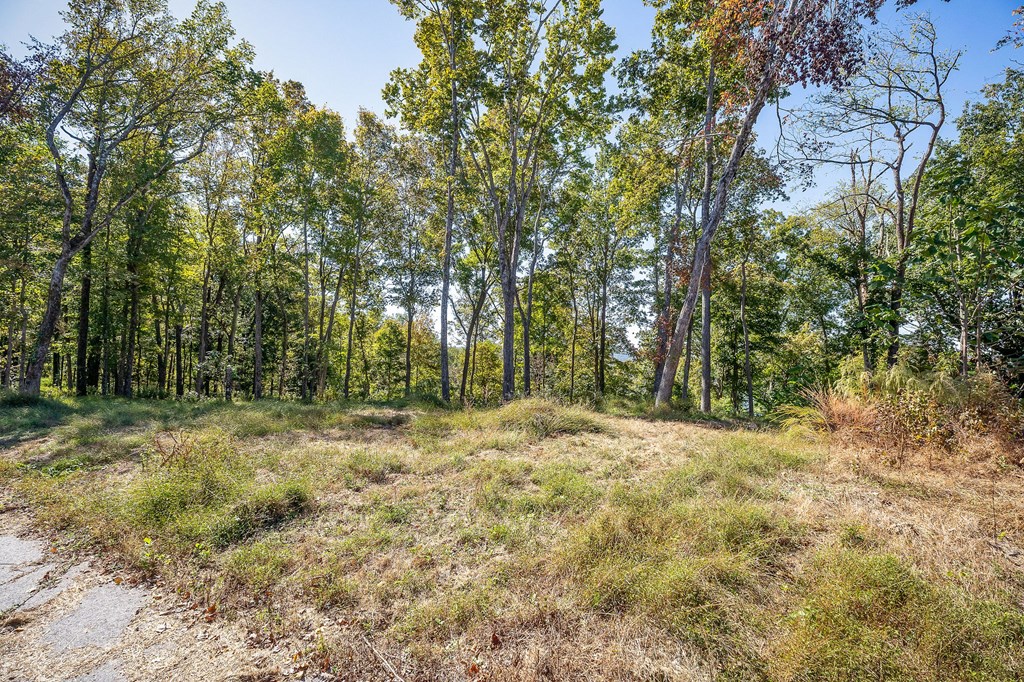 00 Back Ranch Dr