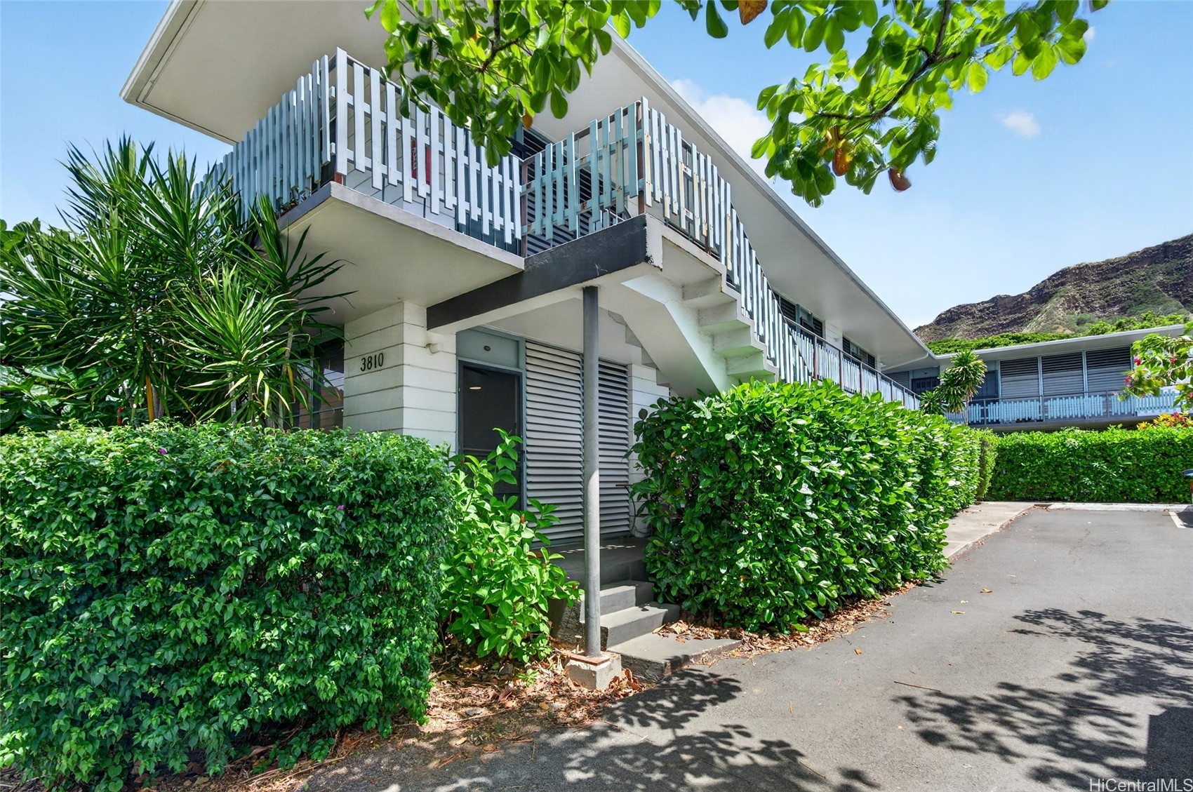 3824 Leahi Avenue 101