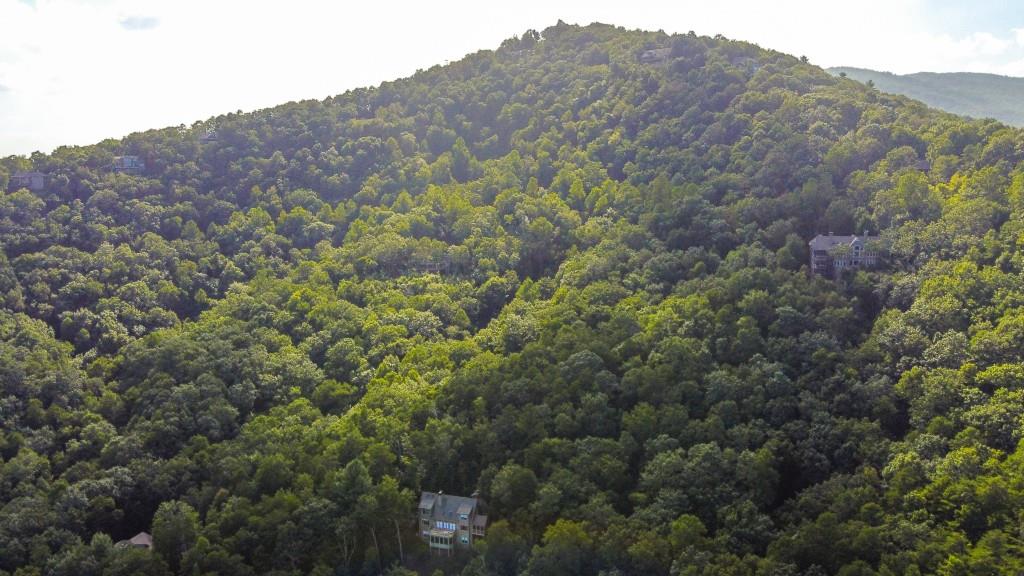 280 Royal Fern Trail