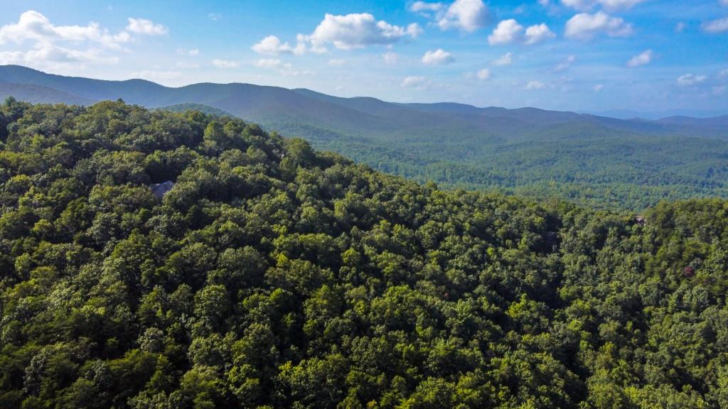 280 Royal Fern Trail