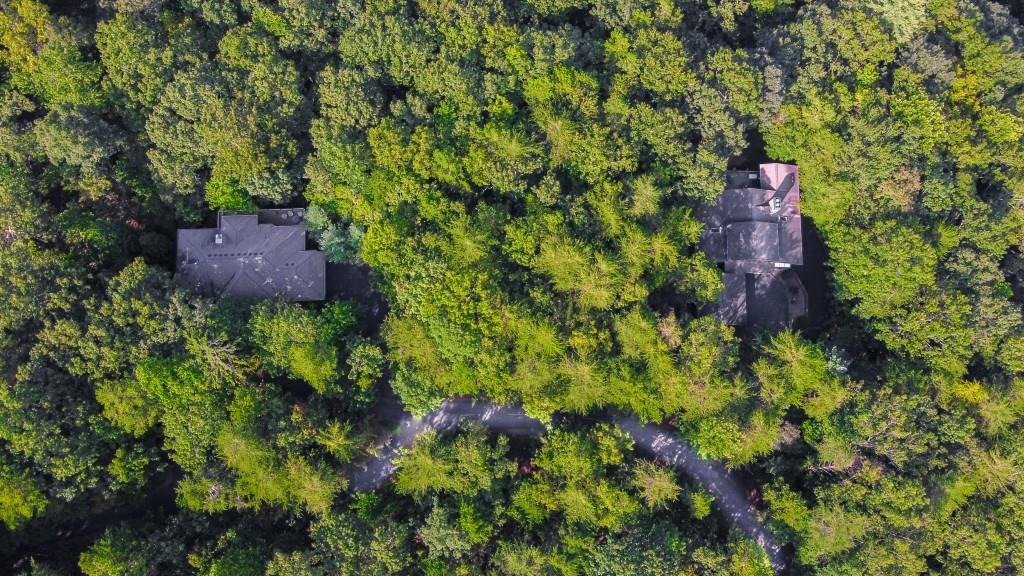 280 Royal Fern Trail