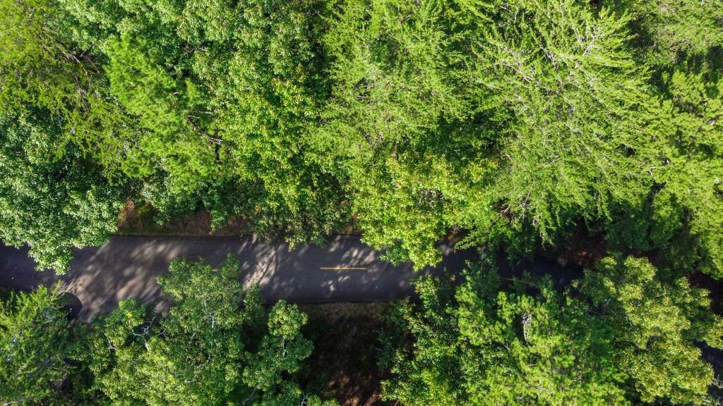 280 Royal Fern Trail