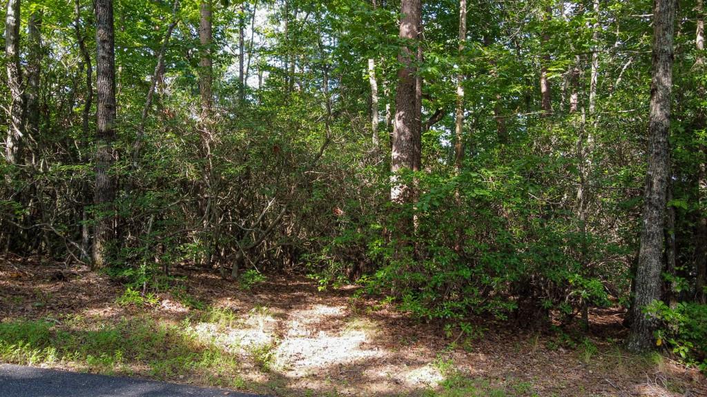 280 Royal Fern Trail