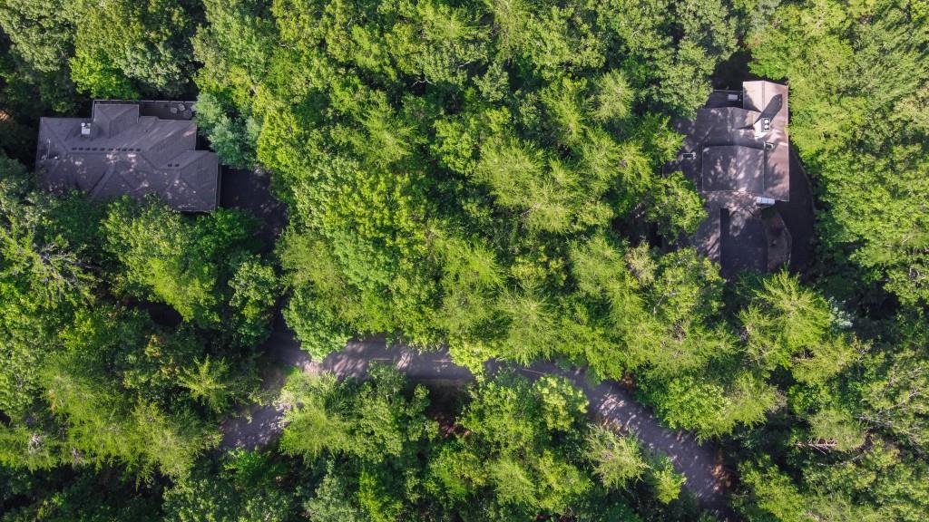 280 Royal Fern Trail