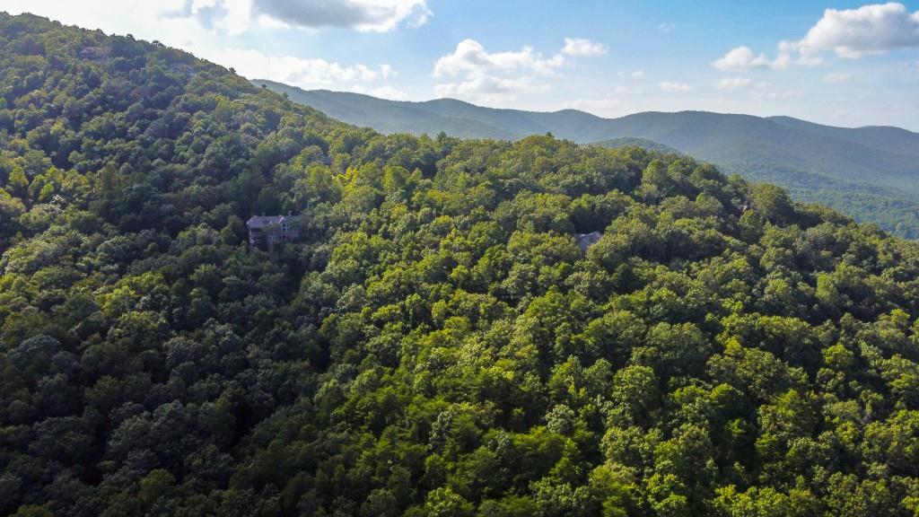 280 Royal Fern Trail