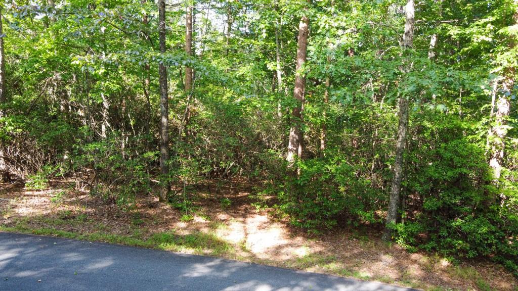 280 Royal Fern Trail