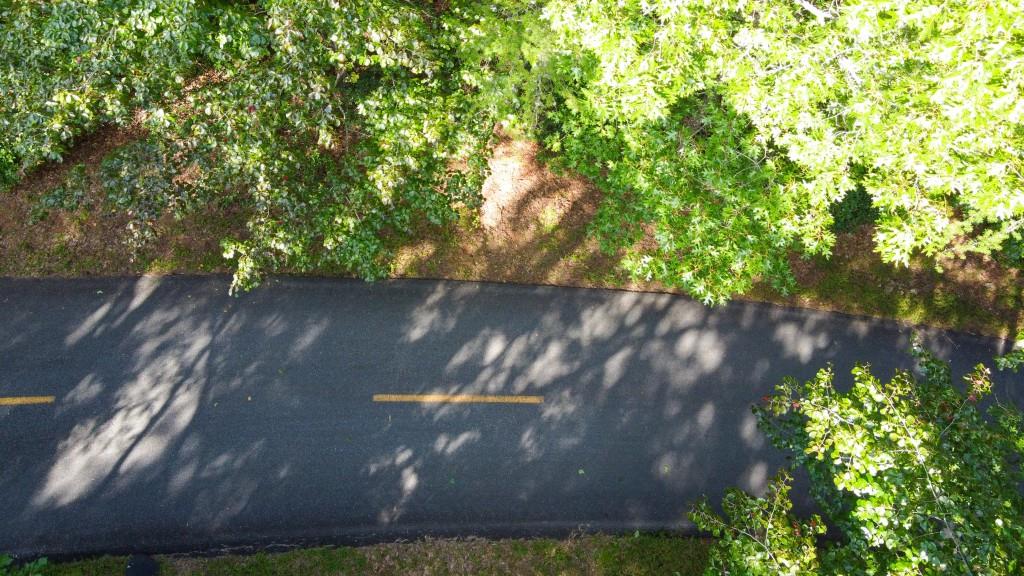 280 Royal Fern Trail