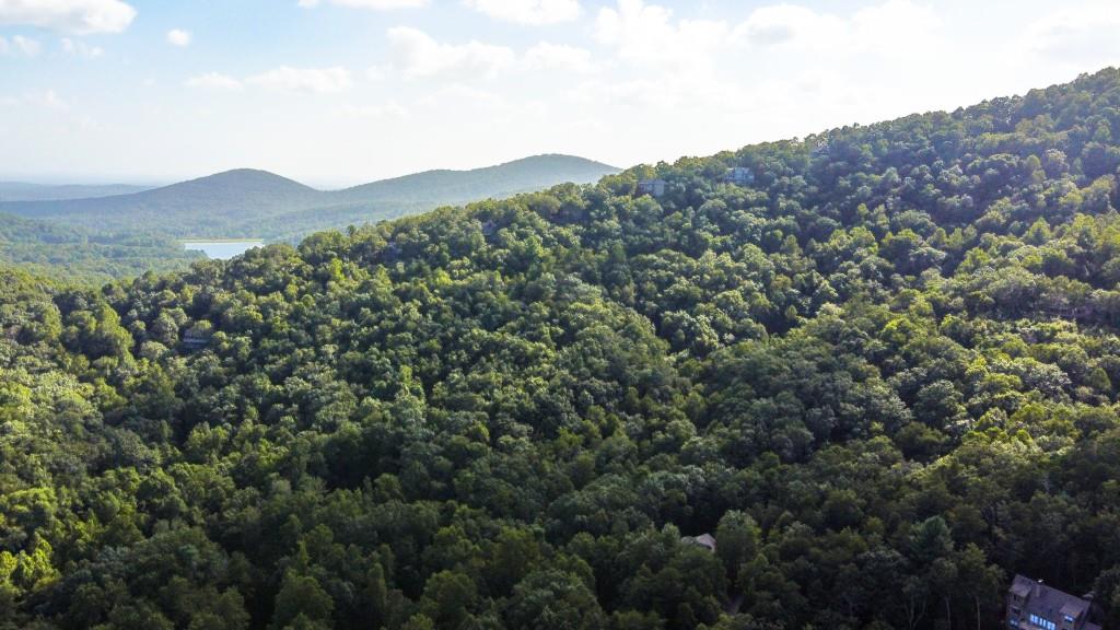 280 Royal Fern Trail
