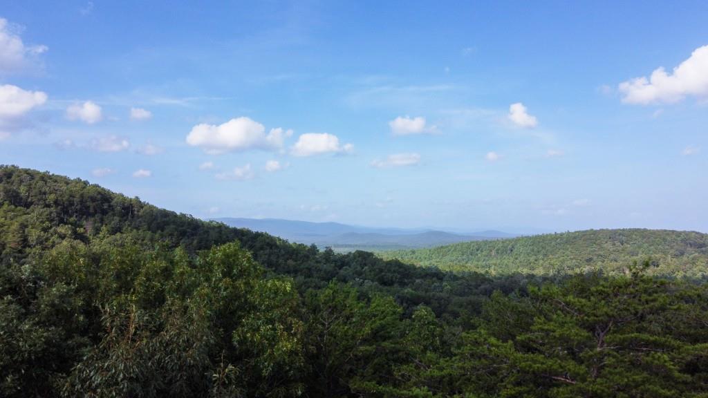 280 Royal Fern Trail