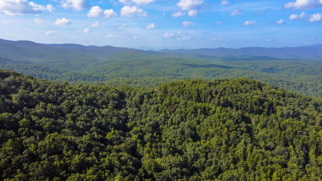 280 Royal Fern Trail
