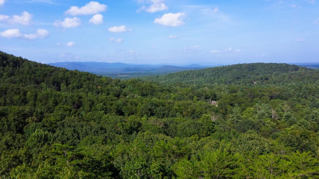 280 Royal Fern Trail