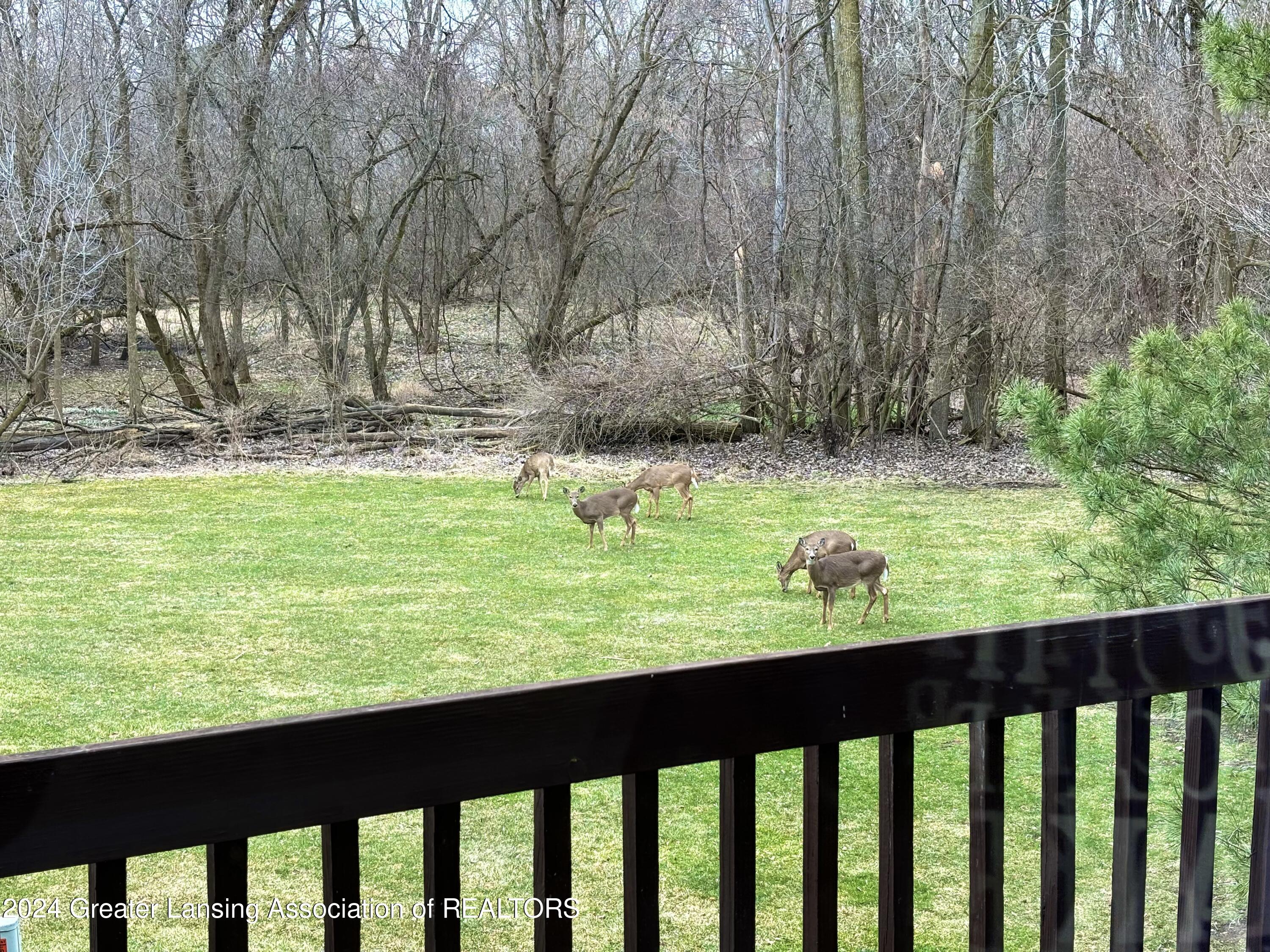 5429 Wild Oak Drive, 21