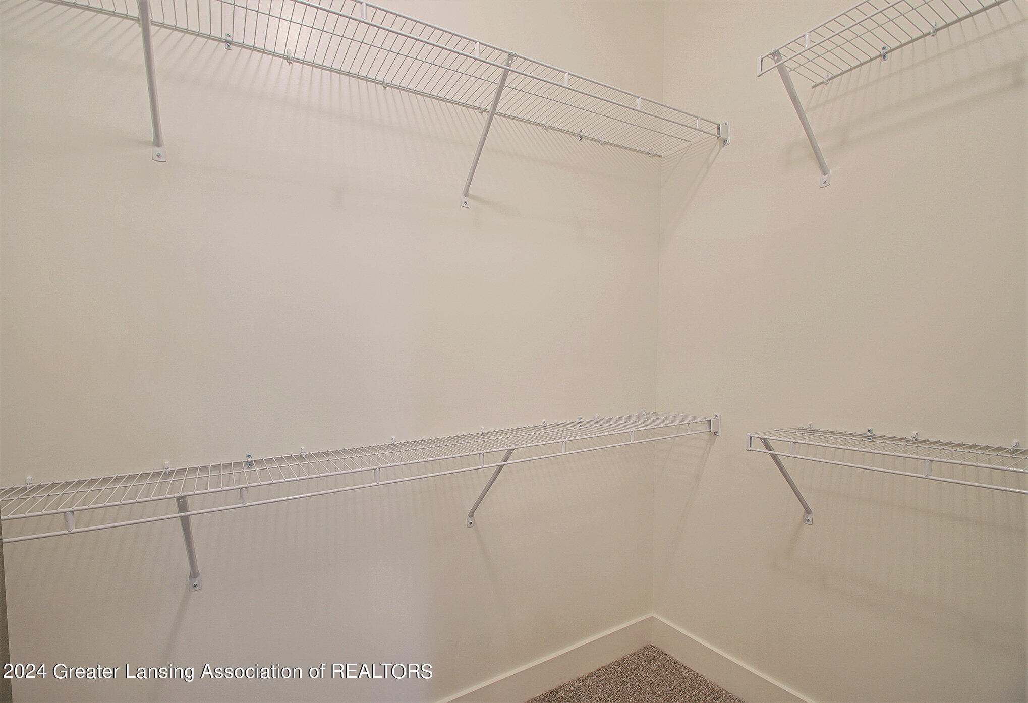 14035 Pristine Court, DeWitt